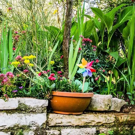 Apartamento With Swimming Pool - 7356 Pula