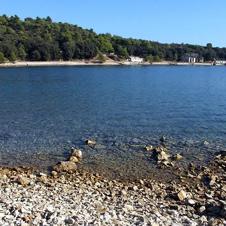 Apartments With Swimming Pool Pula - 7356 Apartment